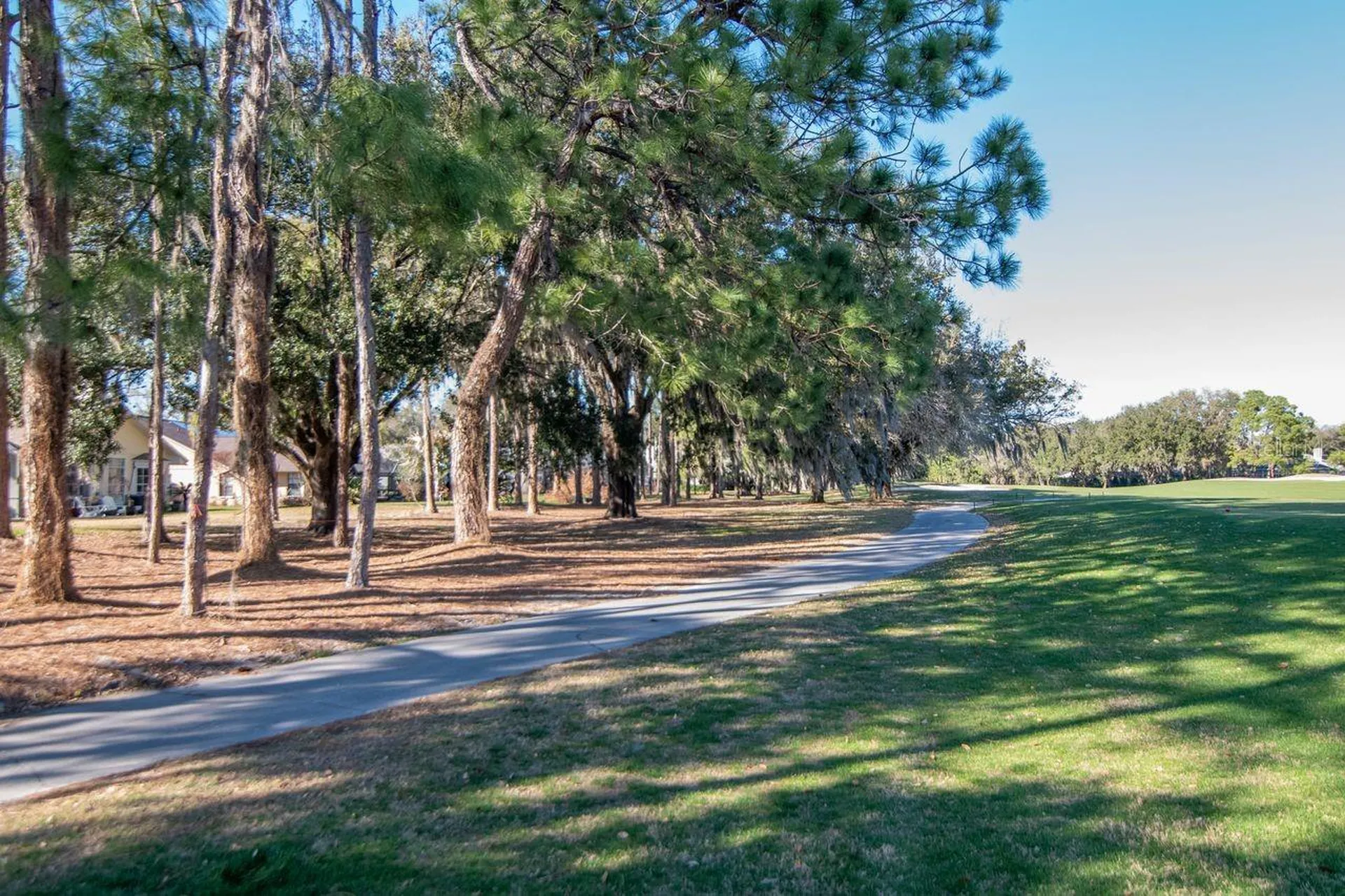 3910 Turkey Oak Drive Valrico FL 33596