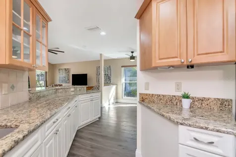 3910 Turkey Oak Drive Valrico FL 33596