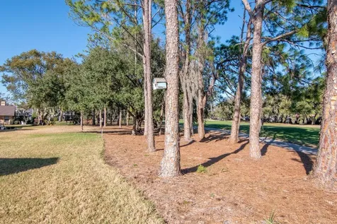 3910 Turkey Oak Drive Valrico FL 33596