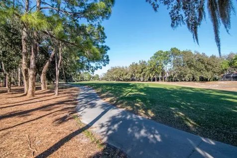 3910 Turkey Oak Drive Valrico FL 33596
