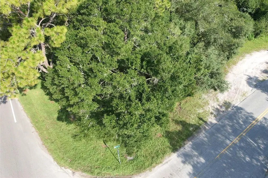 Tbd SW Highway 484 Dunnellon FL 34432