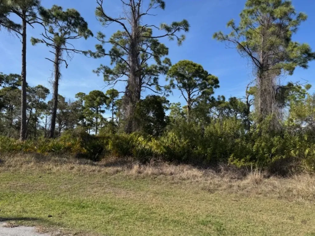 102 Beryl Drive Rotonda West FL 33947