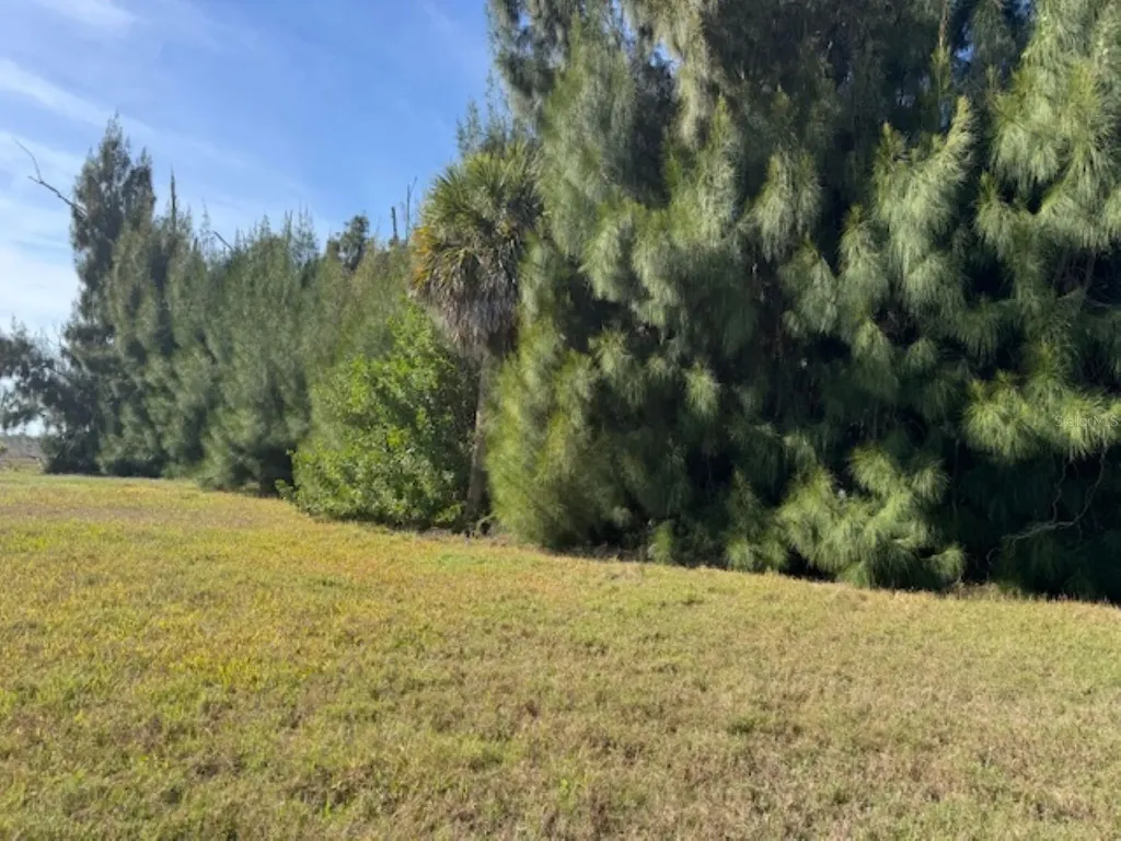 75 Green Dolphin Drive N Placida FL 33946