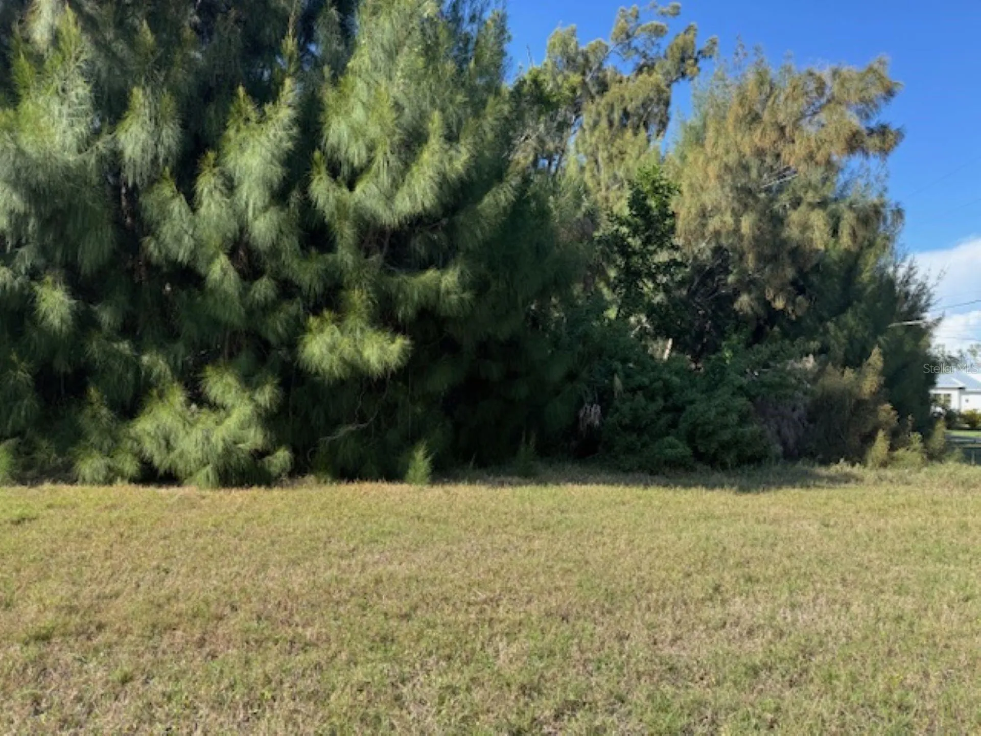 75 Green Dolphin Drive N Placida FL 33946