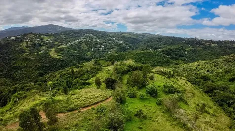 7784 Cañaboncito Caguas PR 00725