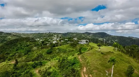 7784 Cañaboncito Caguas PR 00725