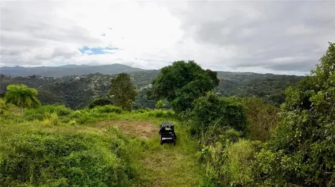 7784 Cañaboncito Caguas PR 00725
