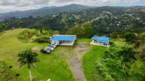 7784 Cañaboncito Caguas PR 00725