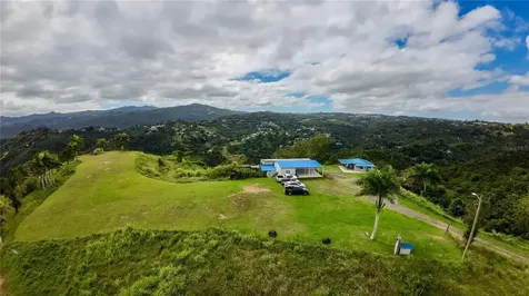 7784 Cañaboncito Caguas PR 00725