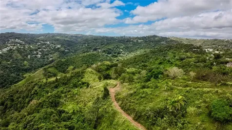 7784 Cañaboncito Caguas PR 00725