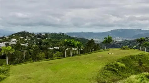 7784 Cañaboncito Caguas PR 00725