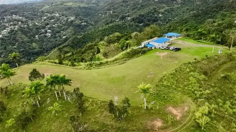 7784 Cañaboncito Caguas PR 00725