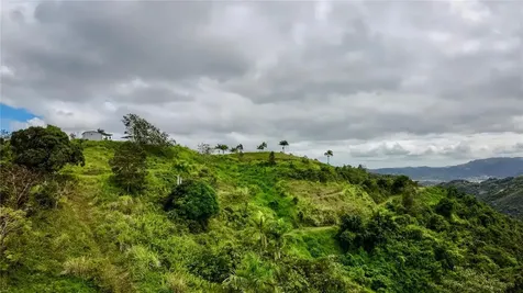 7784 Cañaboncito Caguas PR 00725