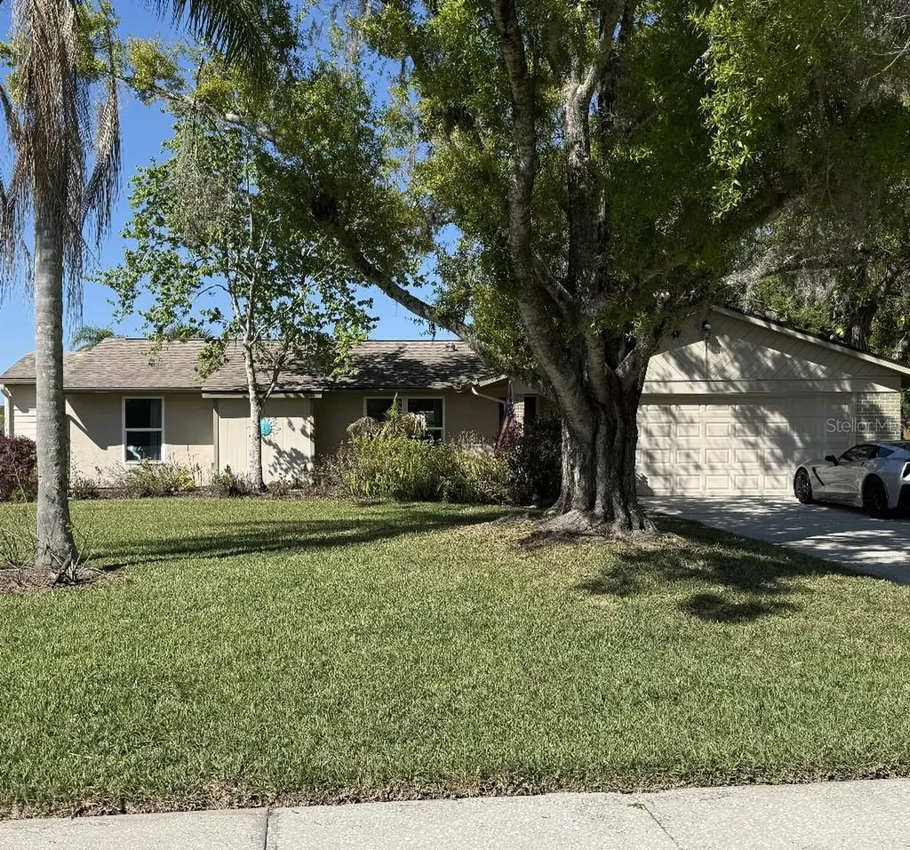 408 Lakeview Drive Oldsmar FL 34677