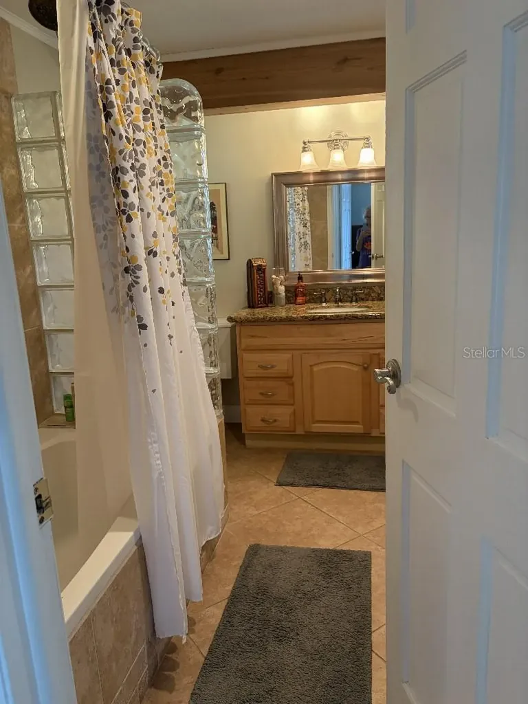 408 Lakeview Drive Oldsmar FL 34677