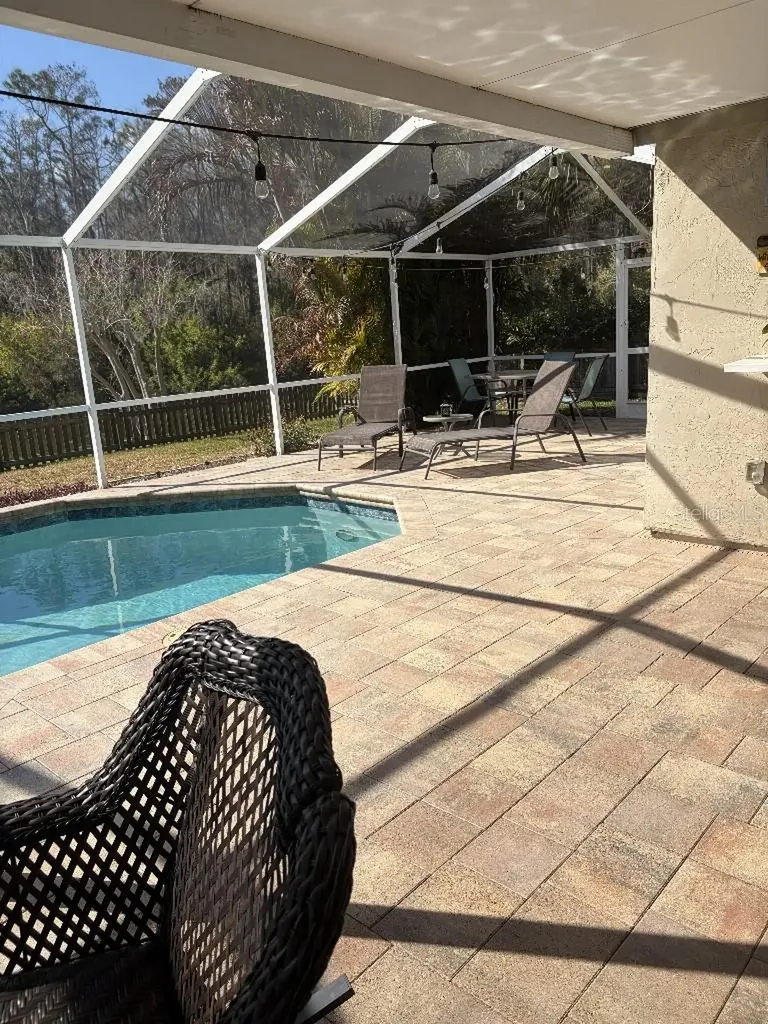 408 Lakeview Drive Oldsmar FL 34677