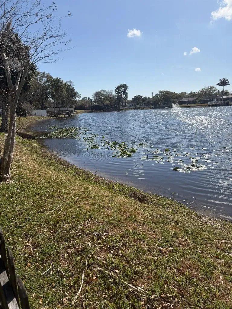 408 Lakeview Drive Oldsmar FL 34677