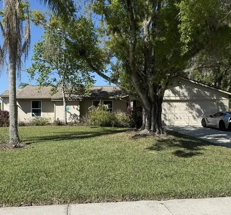 408 Lakeview Drive Oldsmar FL 34677