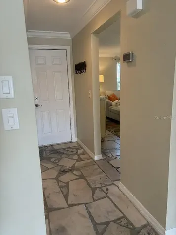 408 Lakeview Drive Oldsmar FL 34677