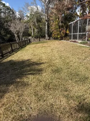 408 Lakeview Drive Oldsmar FL 34677