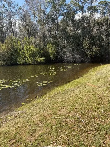 408 Lakeview Drive Oldsmar FL 34677