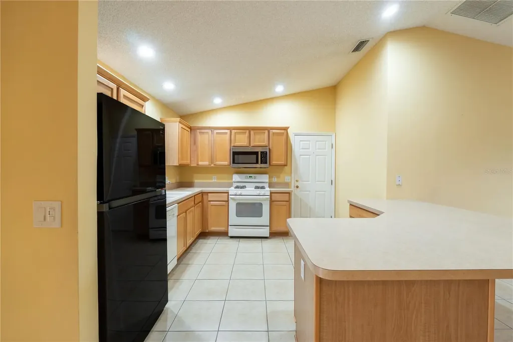 1994 Orangeburg Terrace The Villages FL 32162