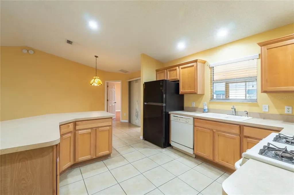 1994 Orangeburg Terrace The Villages FL 32162