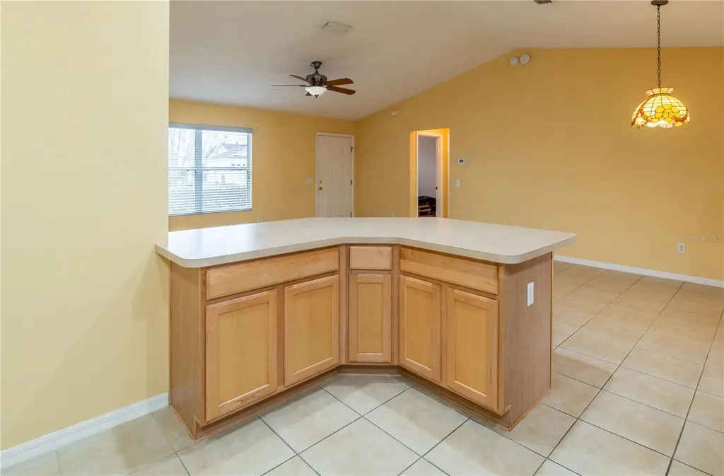 1994 Orangeburg Terrace The Villages FL 32162