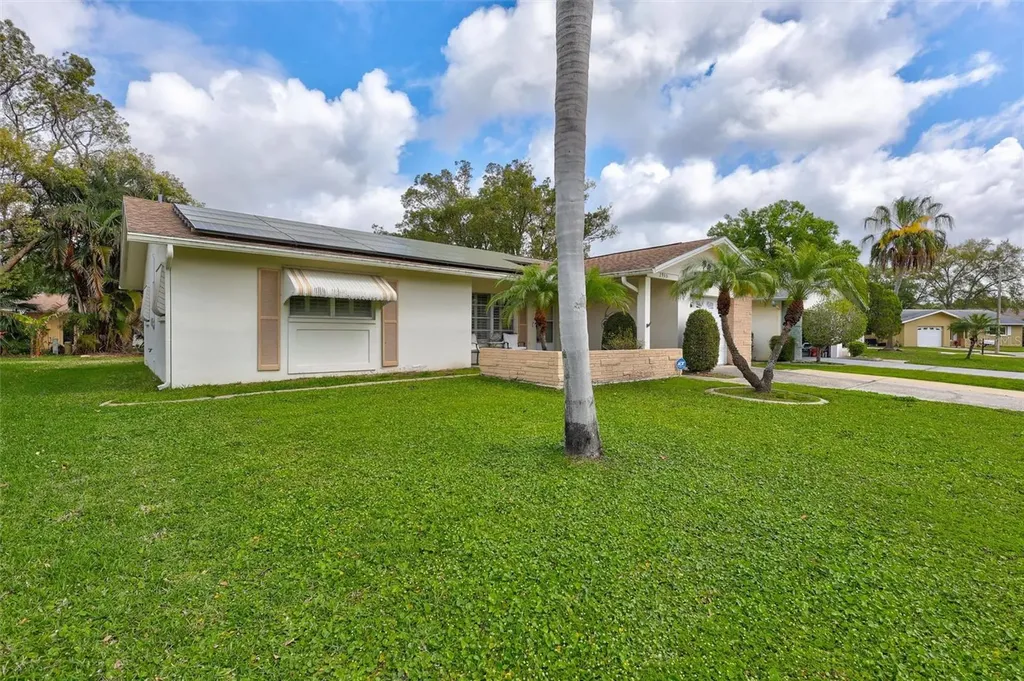 2955 Briar Cliff Drive Palm Harbor FL 34684