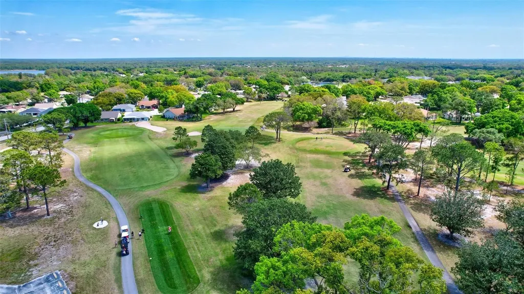2955 Briar Cliff Drive Palm Harbor FL 34684