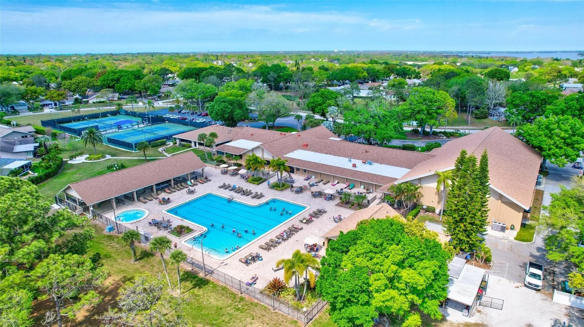 2955 Briar Cliff Drive Palm Harbor FL 34684