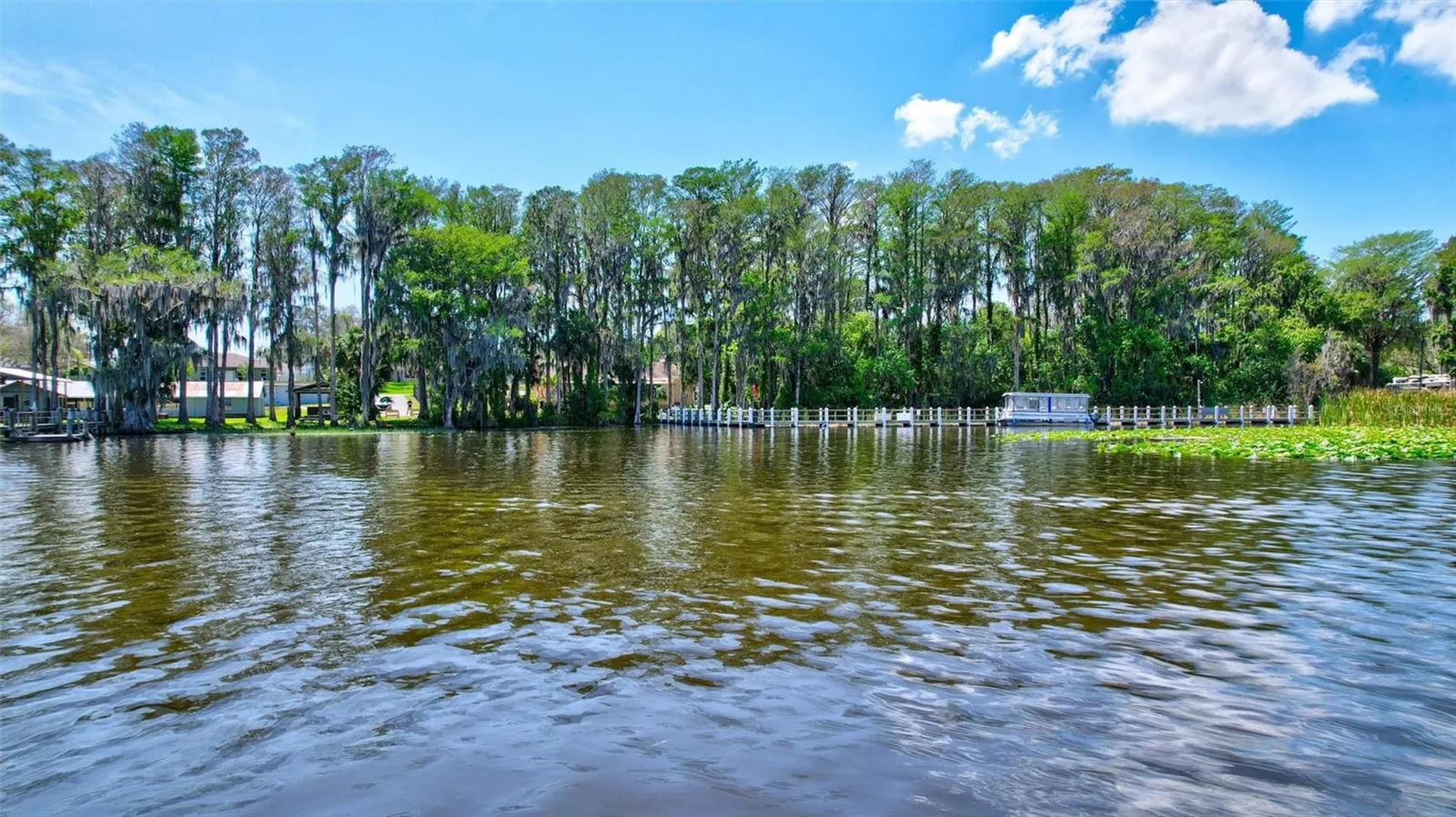 2955 Briar Cliff Drive Palm Harbor FL 34684