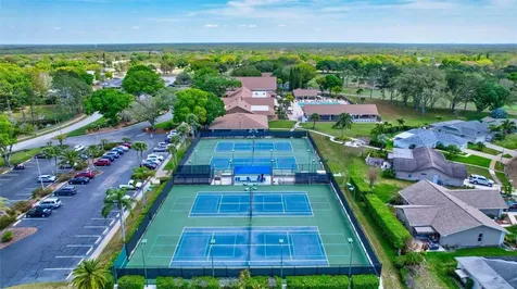 2955 Briar Cliff Drive Palm Harbor FL 34684