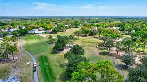 2955 Briar Cliff Drive Palm Harbor FL 34684