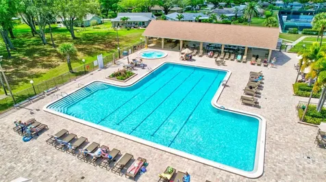 2955 Briar Cliff Drive Palm Harbor FL 34684