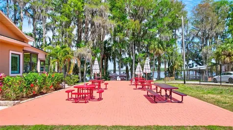 2955 Briar Cliff Drive Palm Harbor FL 34684