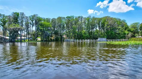 2955 Briar Cliff Drive Palm Harbor FL 34684