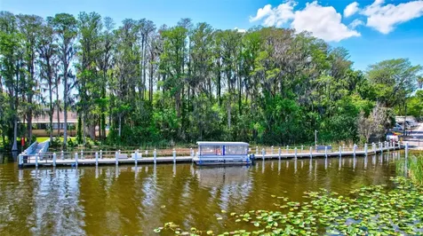 2955 Briar Cliff Drive Palm Harbor FL 34684