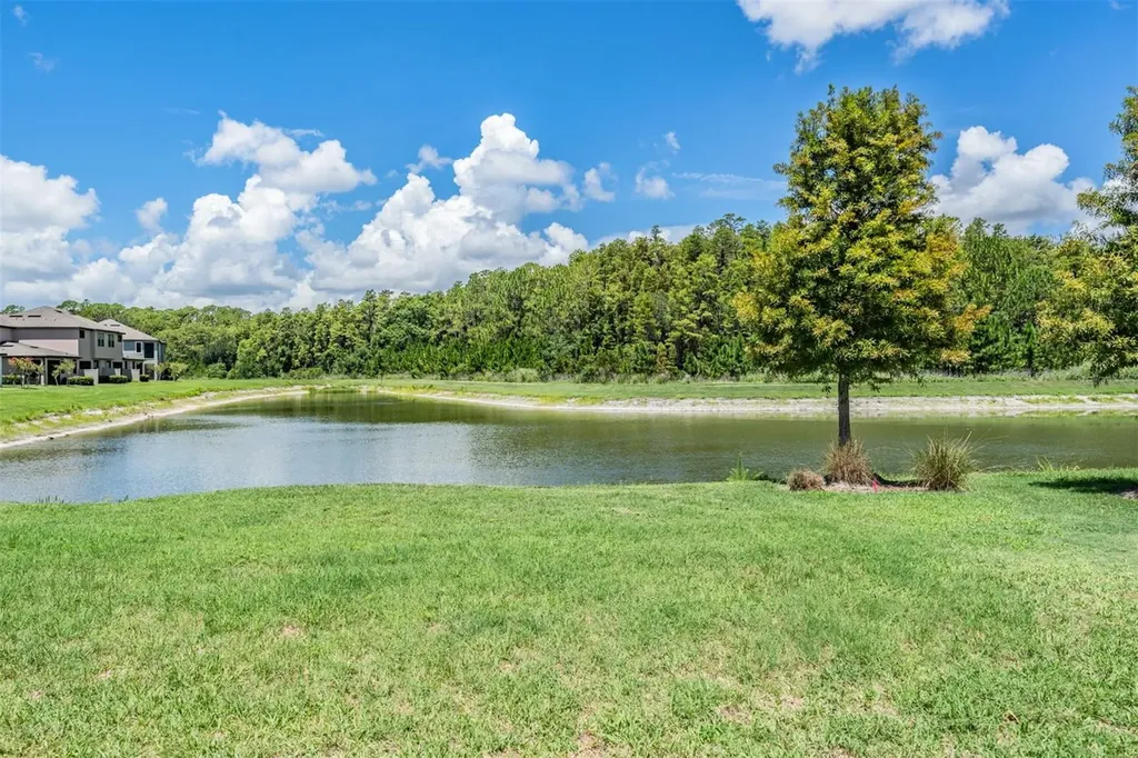 4849 Isola Court Wesley Chapel FL 33543