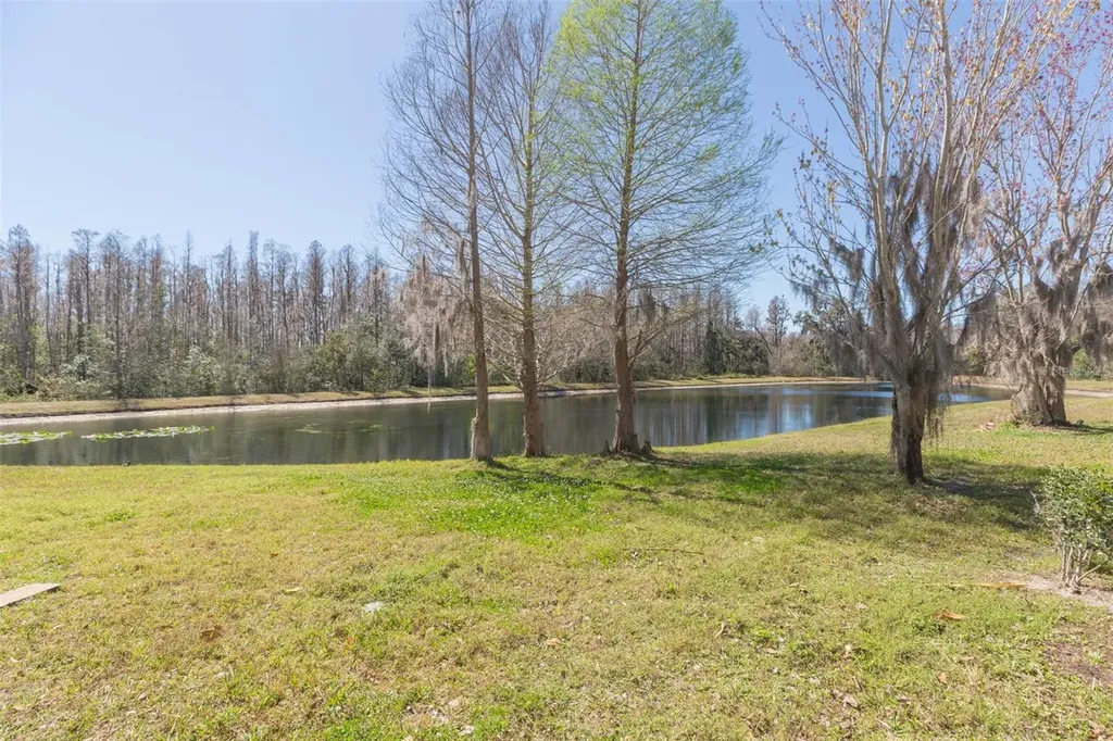 31154 Flannery Court Wesley Chapel FL 33543