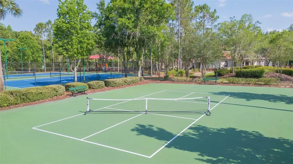 31154 Flannery Court Wesley Chapel FL 33543