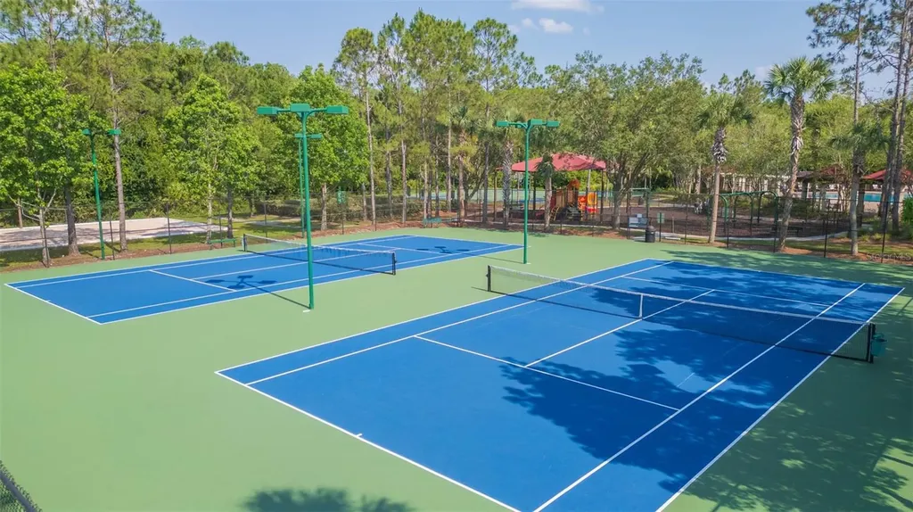 31154 Flannery Court Wesley Chapel FL 33543