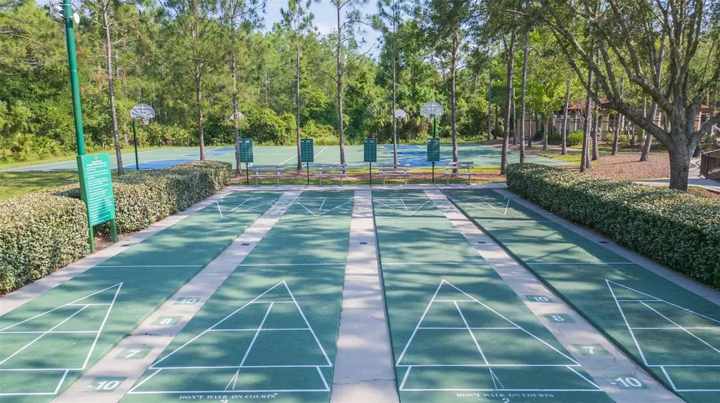 31154 Flannery Court Wesley Chapel FL 33543
