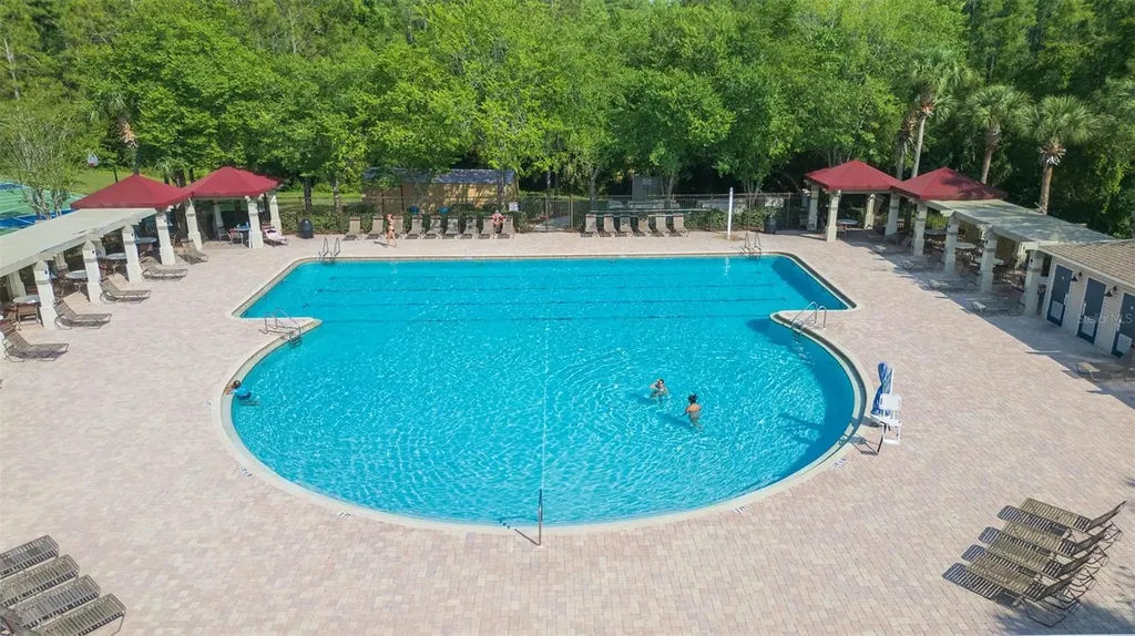 31154 Flannery Court Wesley Chapel FL 33543