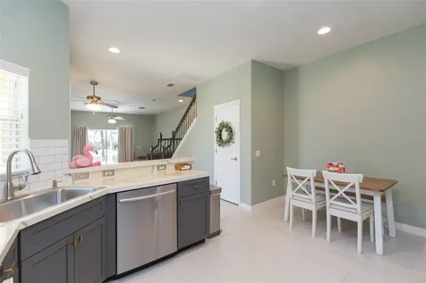 31154 Flannery Court Wesley Chapel FL 33543