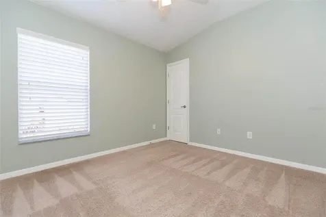 31154 Flannery Court Wesley Chapel FL 33543