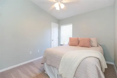 31154 Flannery Court Wesley Chapel FL 33543