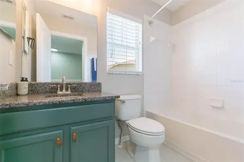 31154 Flannery Court Wesley Chapel FL 33543