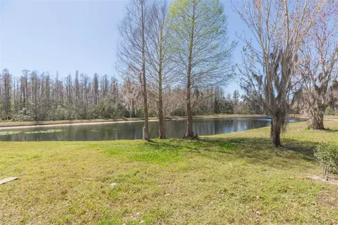 31154 Flannery Court Wesley Chapel FL 33543
