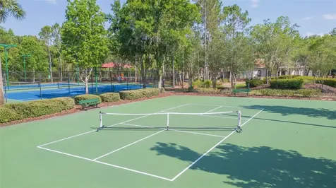 31154 Flannery Court Wesley Chapel FL 33543